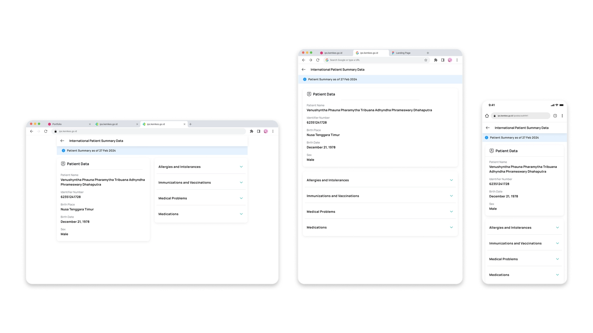 Patient summary screen with expandable sections for demographics, allergies, immunizations, medical problems, and medications